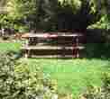 Picnic Area