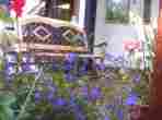 Welcome to Cobble Wood Guest House!
